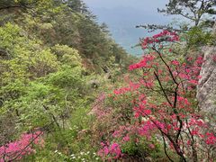 -罗田天堂寨风景区