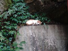 -黔灵山公园