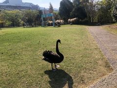 -长兴太湖图影湿地文化园