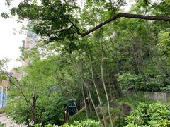 -北极阁公园
