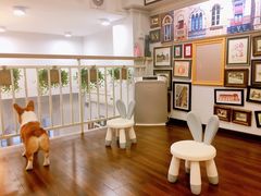 干蒸-柯斗斗主题餐厅·狗咖·围炉煮茶·茶饮(国瑞升平里店)