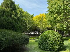 -东升八家郊野公园