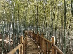 -陶祖圣境风景区