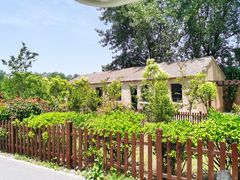 -盐城丹顶鹤湿地生态旅游区