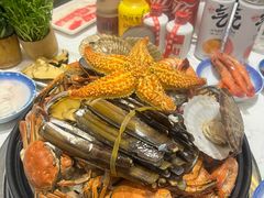 -半岛听涛蒸汽海鲜自助(K11店)