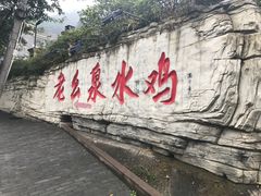 -老幺泉水鸡