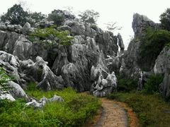 android_upload_pic-千岛湖石林