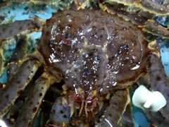 -渔民新村(番禺总店)