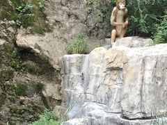 -狼牙山风景区