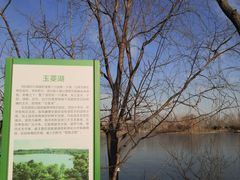 -东郊湿地公园