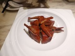 -陶陶居酒家(SM二期购物广场店)