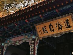 -真庆观