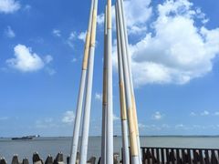 -上海滨江森林公园