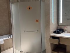 -圣爵菲斯大酒店(长沙世界之窗店)