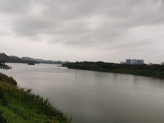 -立新湖公园
