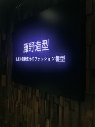 点击看大图 -藤野造型