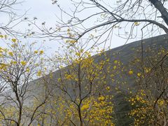 -可颂坊(中心书城店)