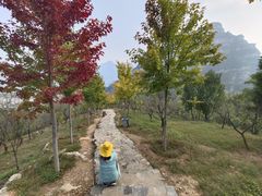 -十渡高山漂流