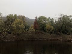 -嵖岈山风景区