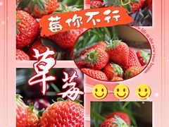 -鲜力达果品批发直销(青山店)