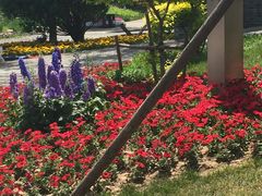 -武清南湖绿博园