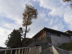 -溪口商量岗景区