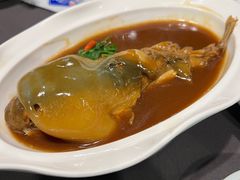 -肆月河豚·新淮扬(金融街店)
