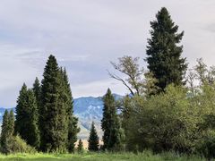 -新疆那拉提国家旅游度假区
