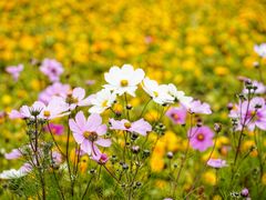 -東锐锦汇汽车服务有限公司(焦家湾店)