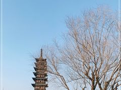 -上海方塔园