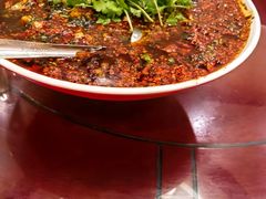 -胖大姐黄辣丁鱼庄(新津店)