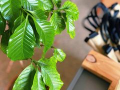 -DEEP COFFEE(瑞光烘焙工厂店)