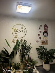 -寇氏减肥