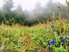 -白草畔自然风景区