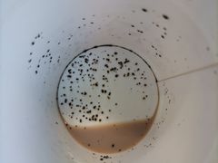 -麦当劳(军博店)