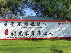 -亲兄弟真人CS团建拓展基地