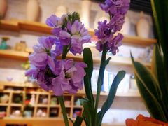 店内环境-今日陶艺(富力广场店)