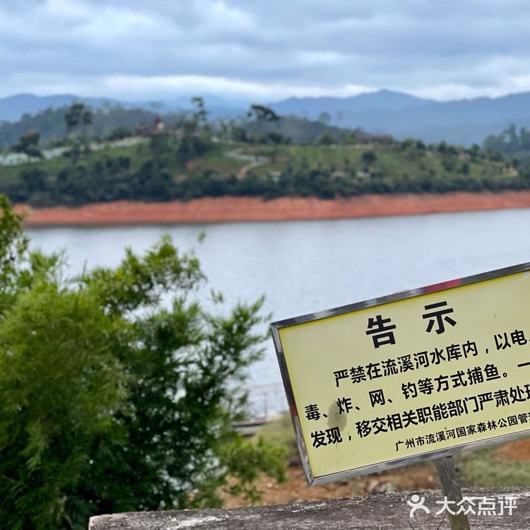 从化流溪河｜钓鱼