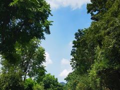 -西湖风景区-江洋畈生态公园
