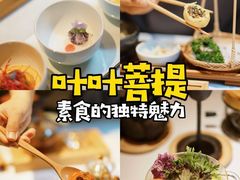 -叶叶菩提·晋福宫