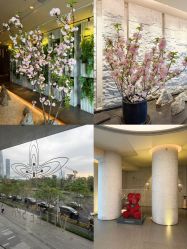 -VELEE·SPA高定疗愈会所