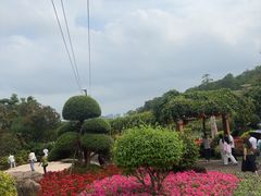 -广州莲花山旅游区