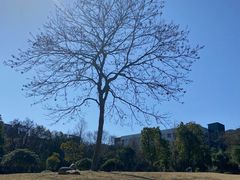 -浙江大学(玉泉校区)