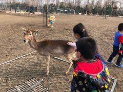 -北京麋鹿生态实验中心
