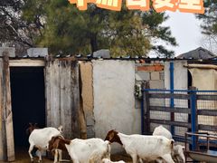 -东海森林温泉度假酒店
