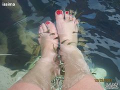 -三亚亚龙湾凯莱仙人掌度假酒店