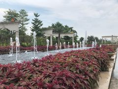 -美的鹭湖森林度假区