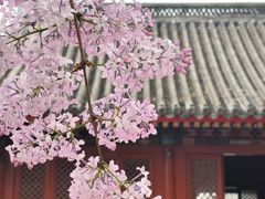-红螺寺
