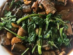 红烧泥鳅-杨辉饭店