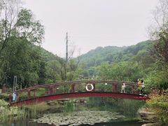 -桃花岭景区